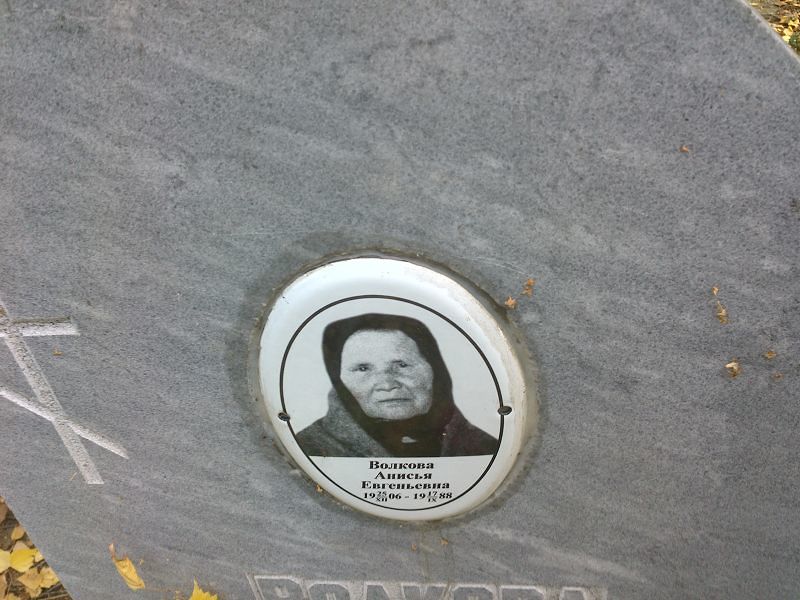 Анисья Волкова Евгеньевна
