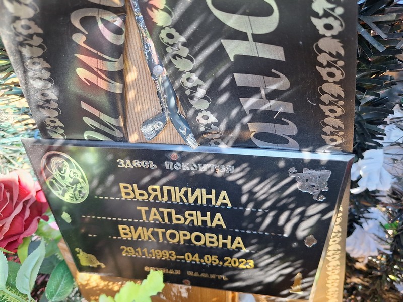 Вьялкина