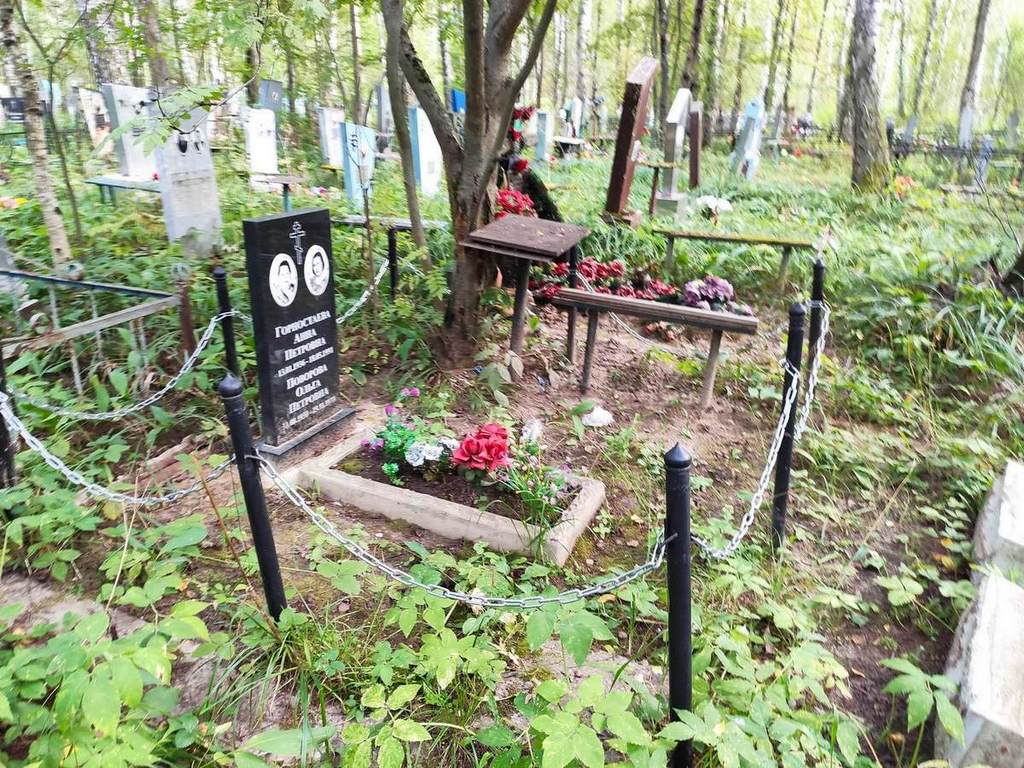 Горностаева Анна Петровна