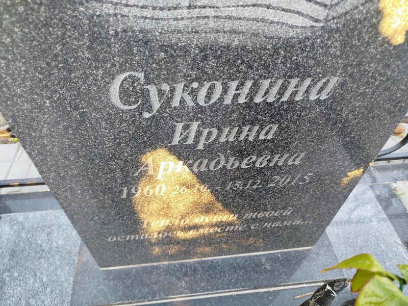 Суконина