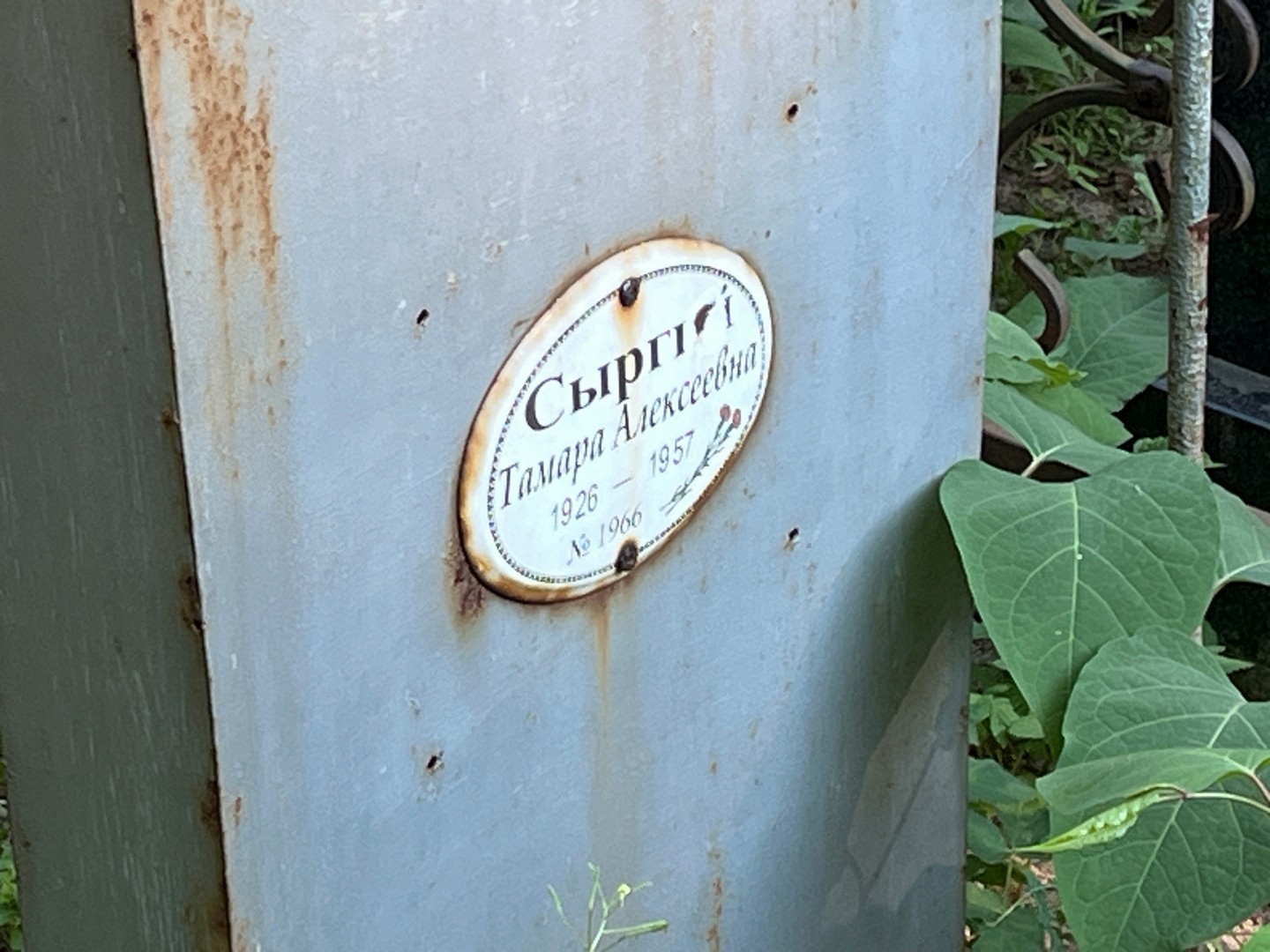 Сыргий