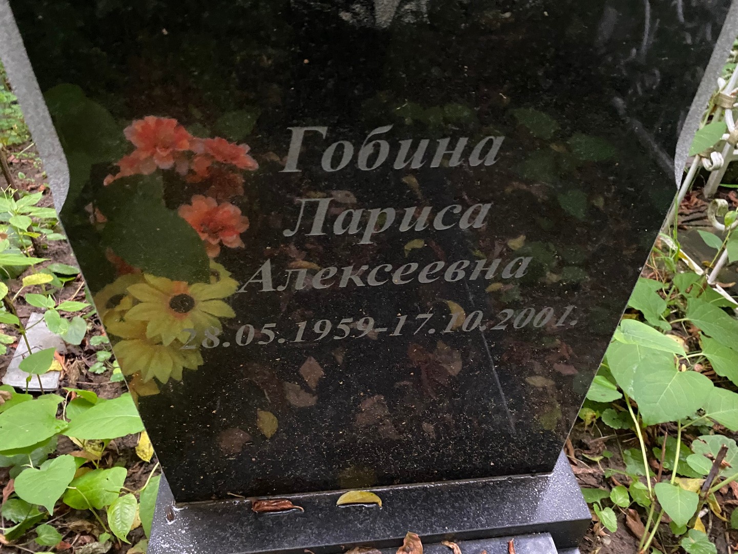 Гобина
