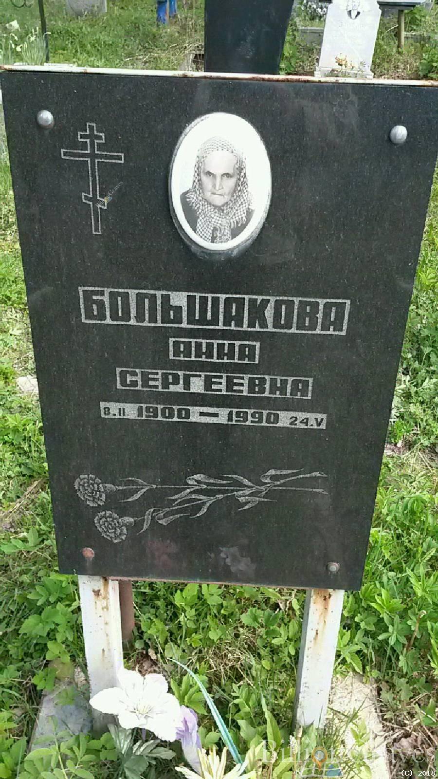 Большакова Анна Сергеевна