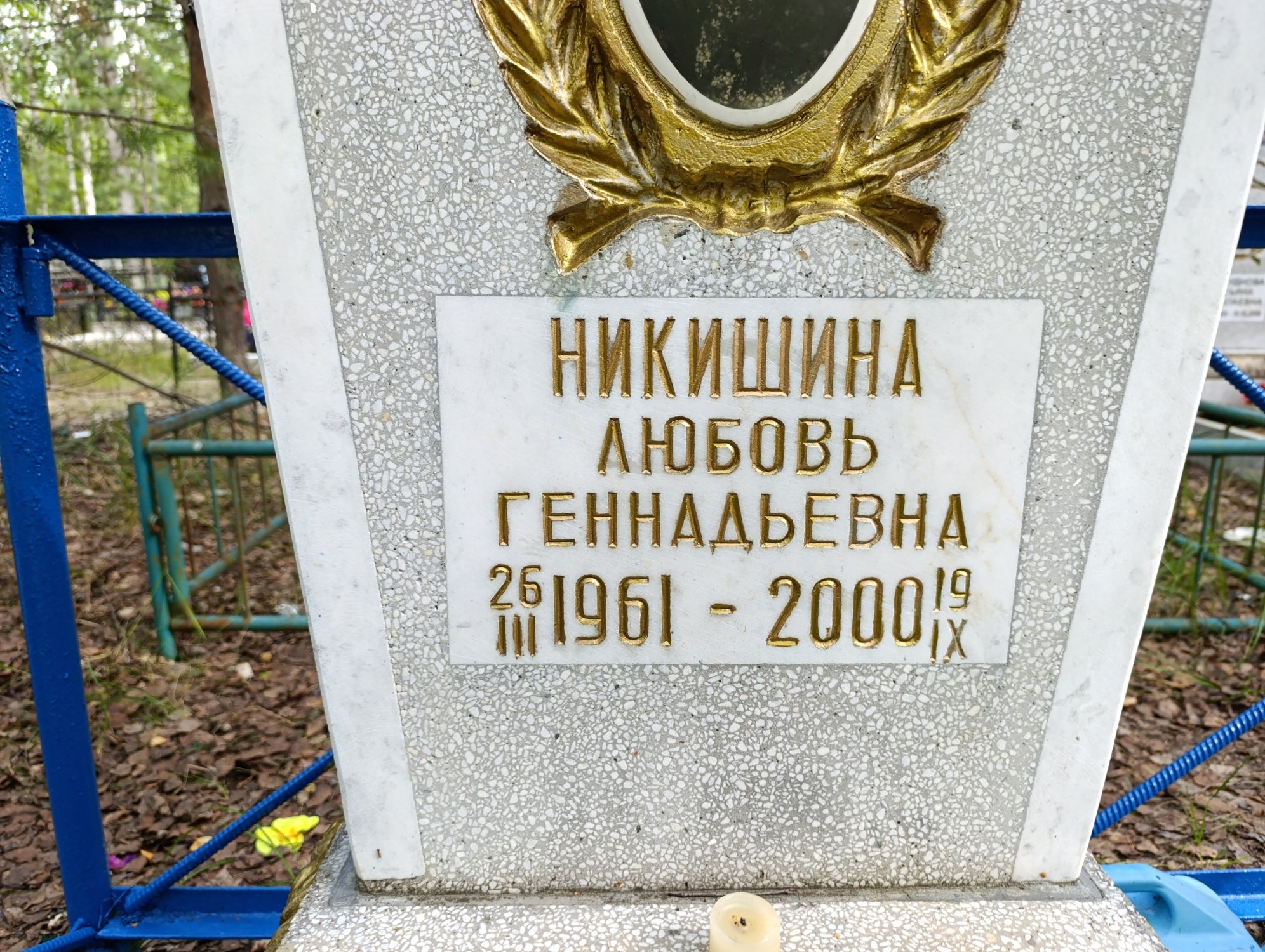 Никишина Любовь Геннадьевна
