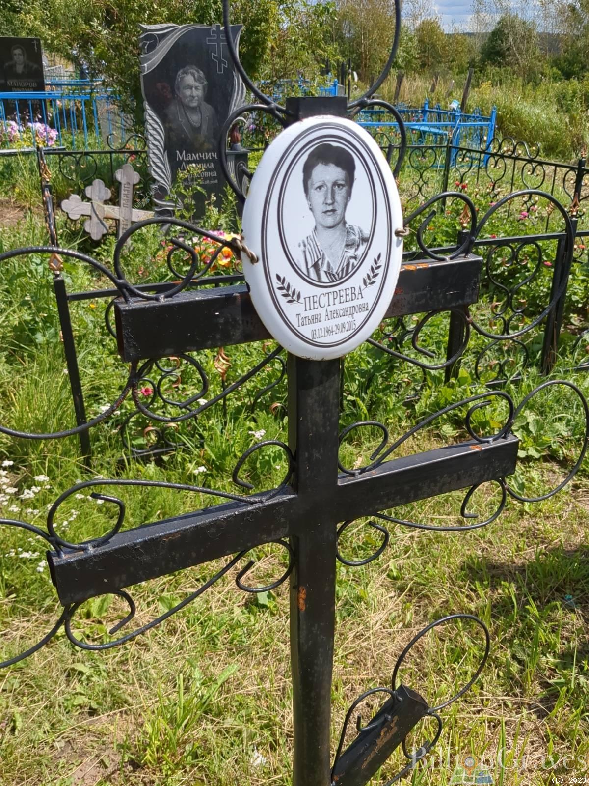 Пестреева Татьяна Александровна