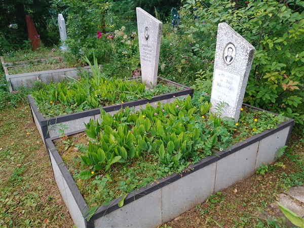 Дружинин Виктор Иванович