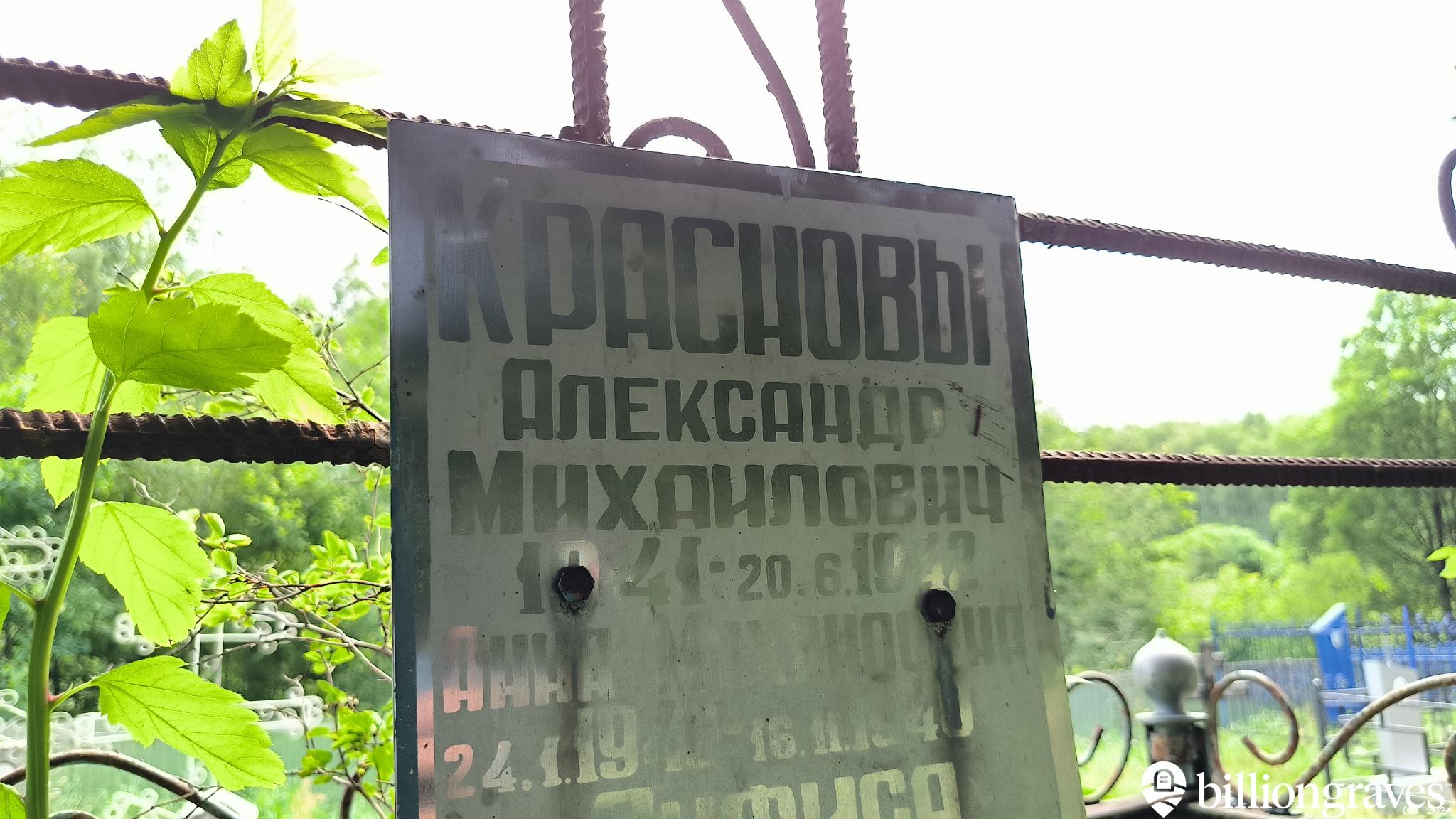 Краснова Анфиса Михайловна