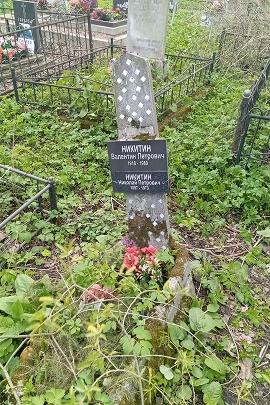 Никитин Николай Петрович