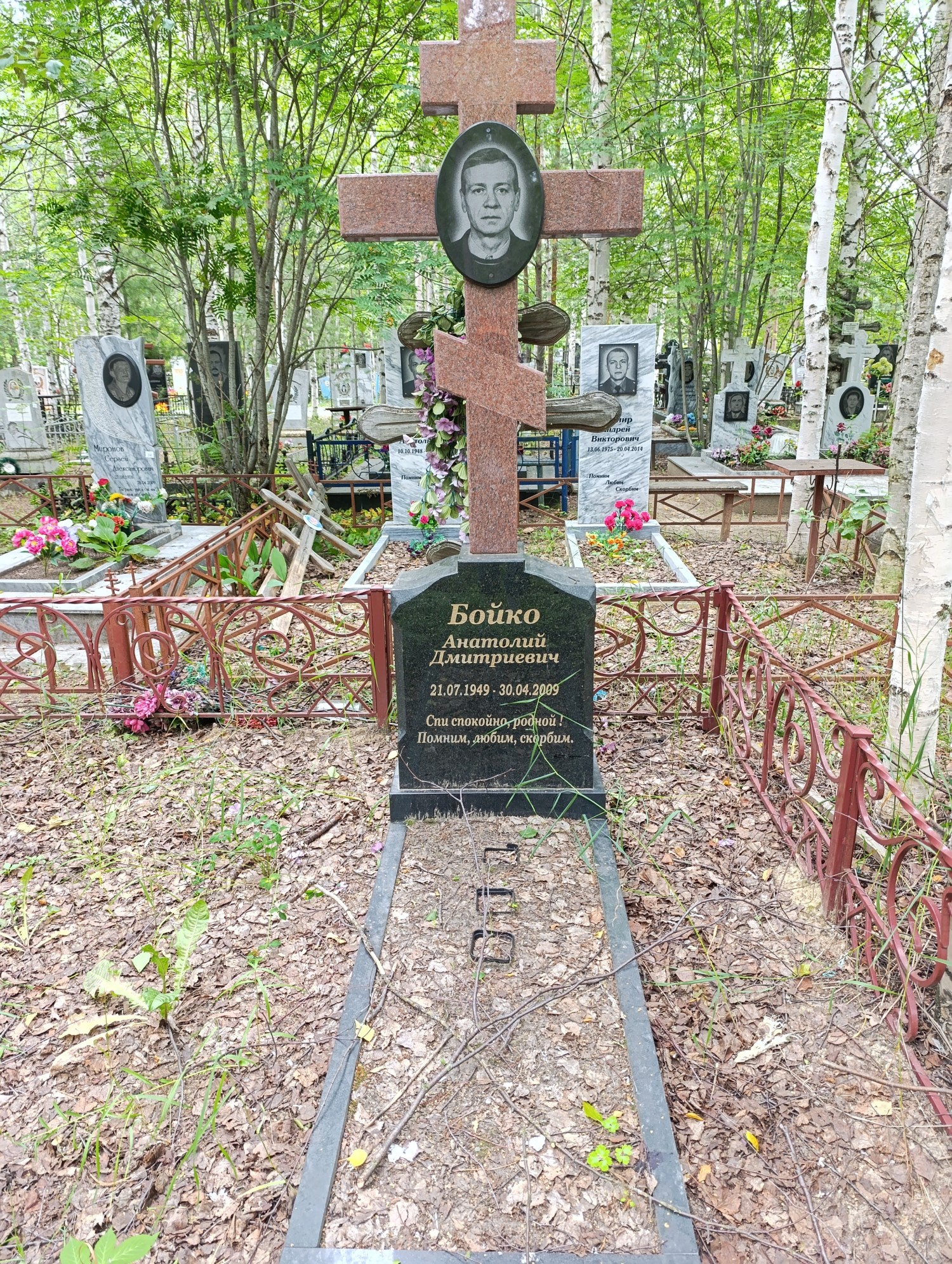Бойко Анатолий Дмитриевич