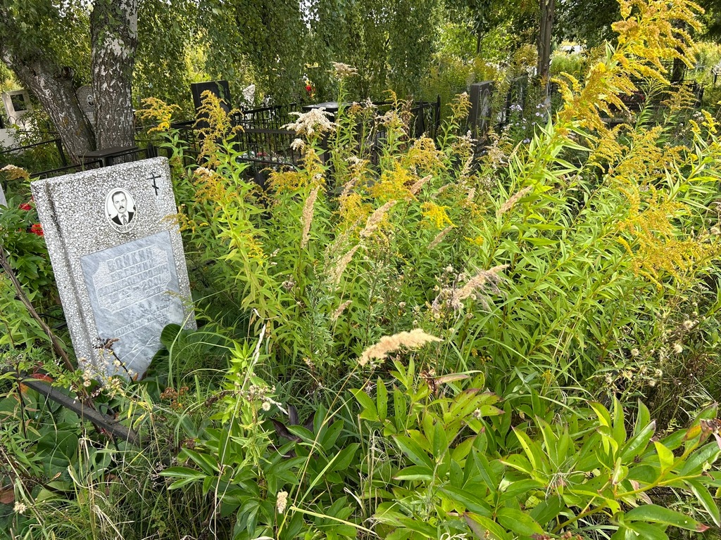 Войкин Евгений Александрович