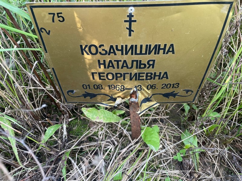 Козачишина