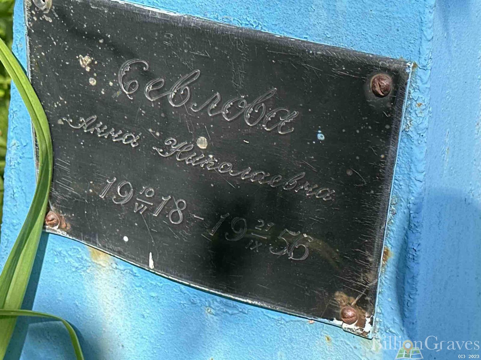 Севлова Анна Николаевна