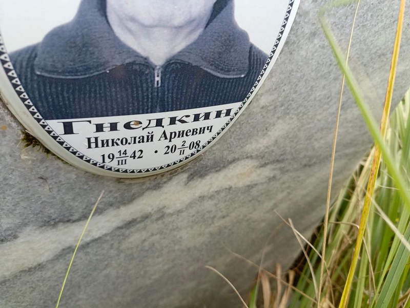 Гнедкин
