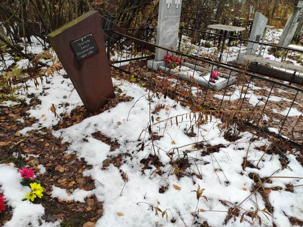 Леонтьева Анисья Владимировна