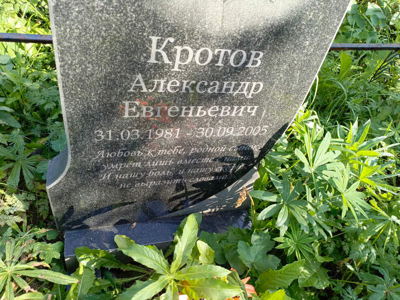Кротов