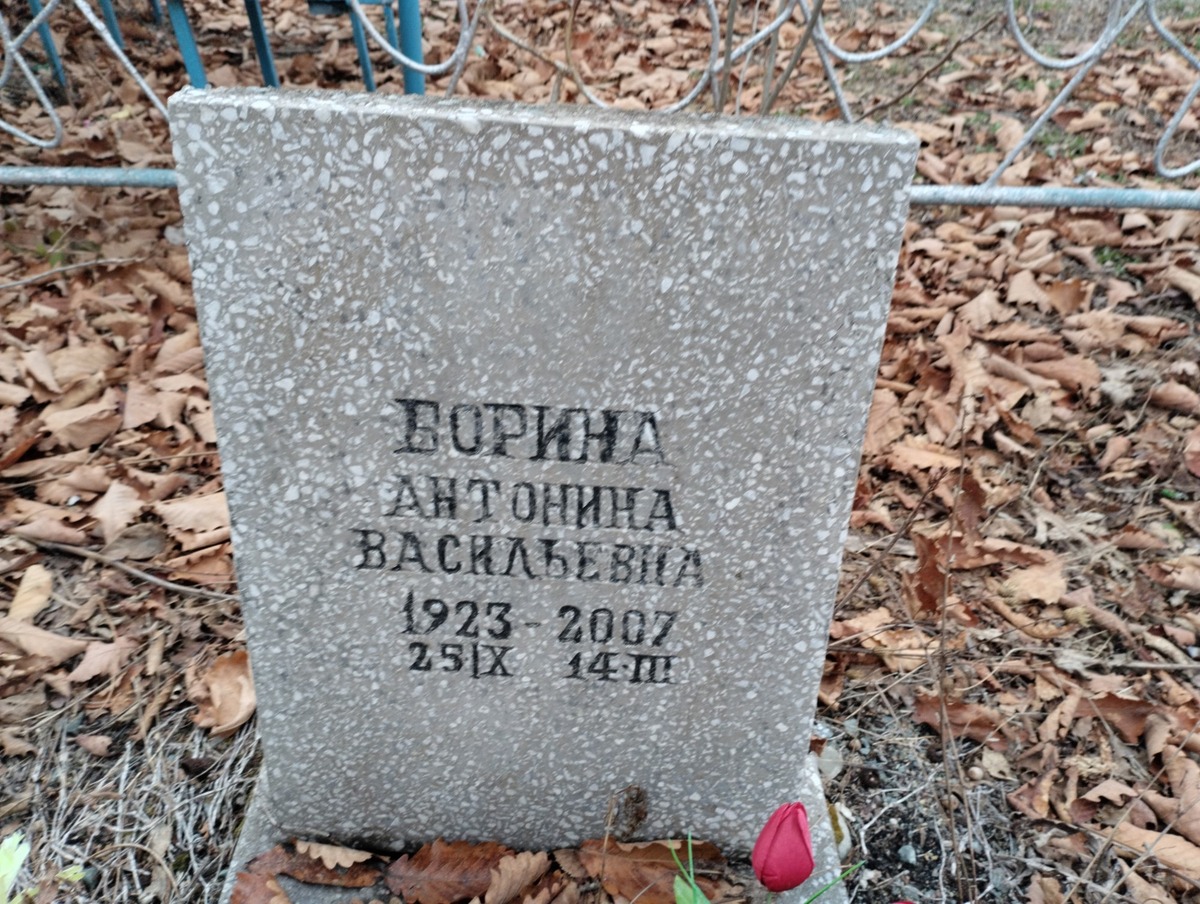 Борина Антонина Васильевна