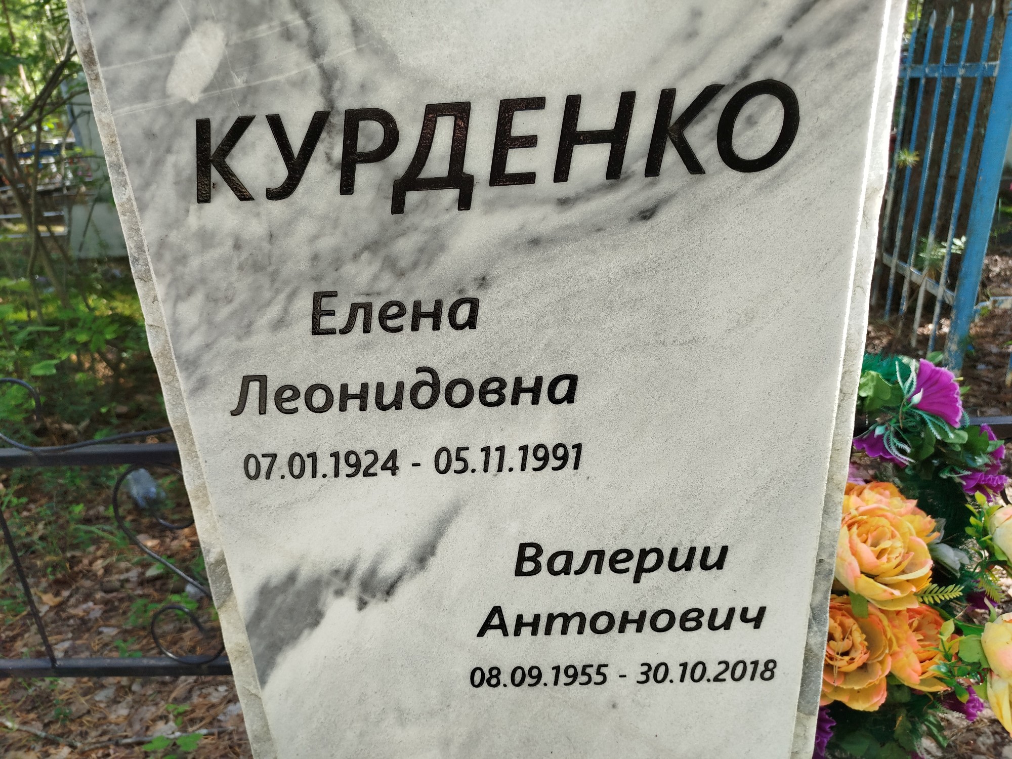 Курденко Елена Леонидовна