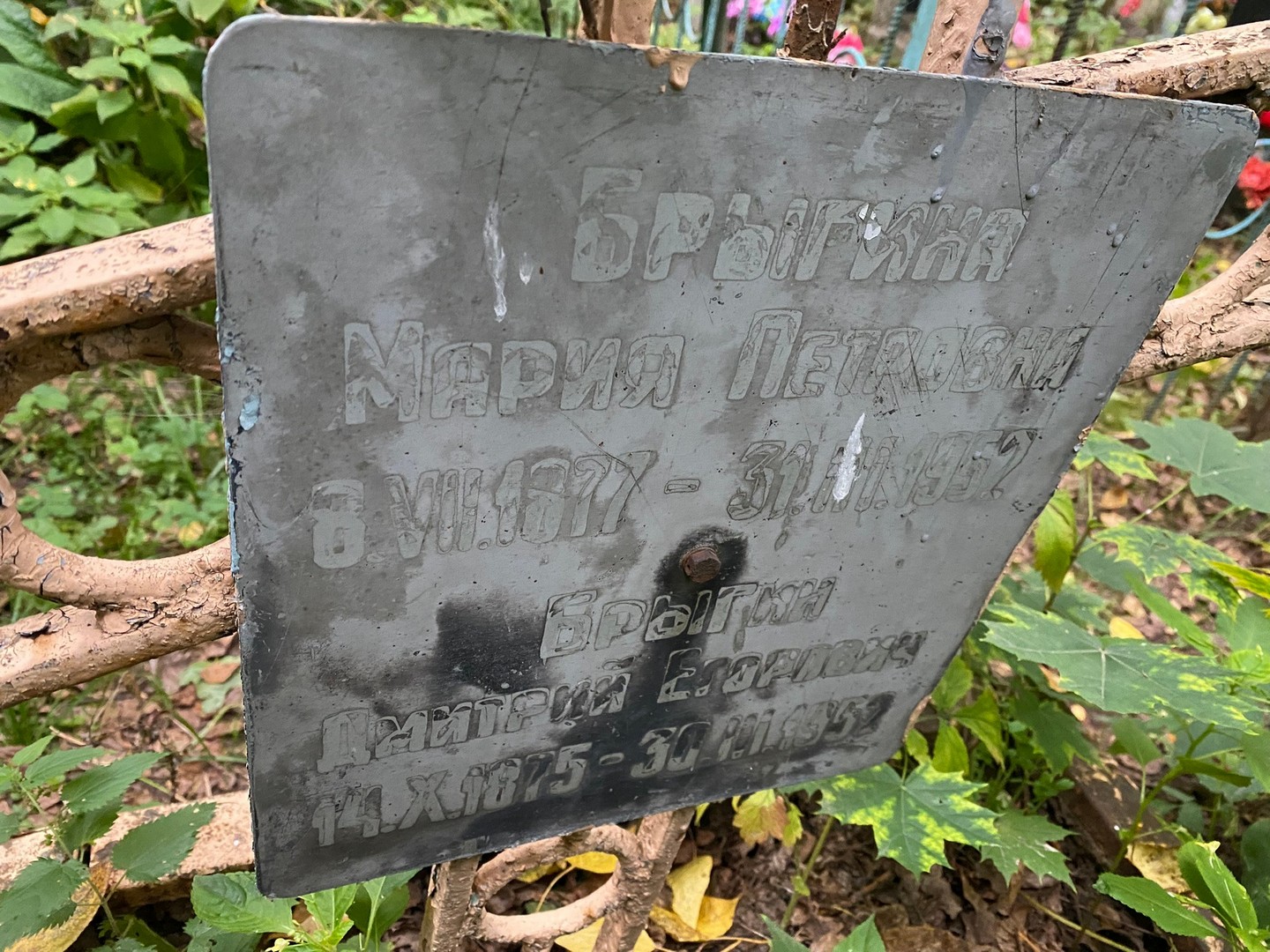 Брыгина