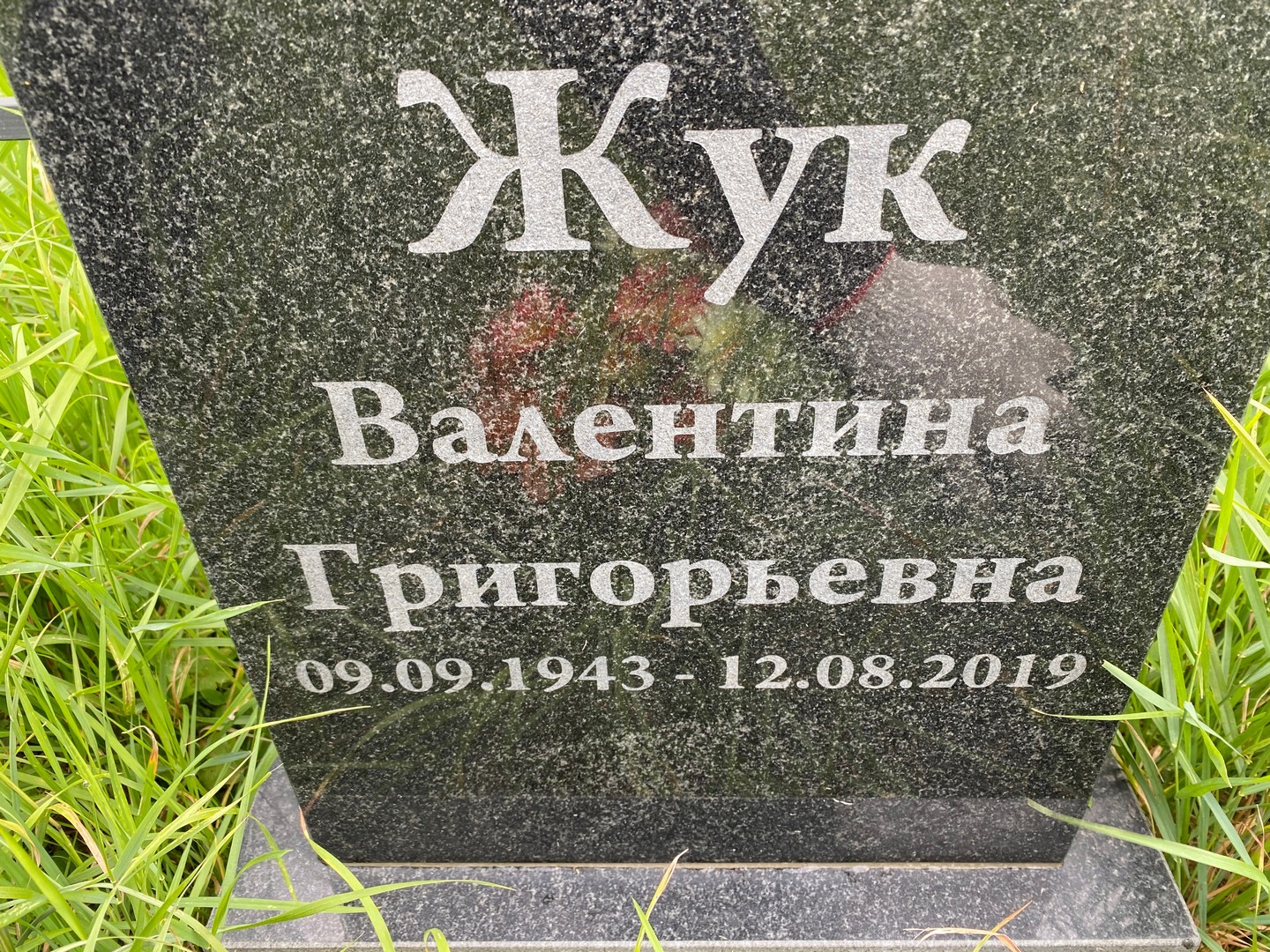 Жук