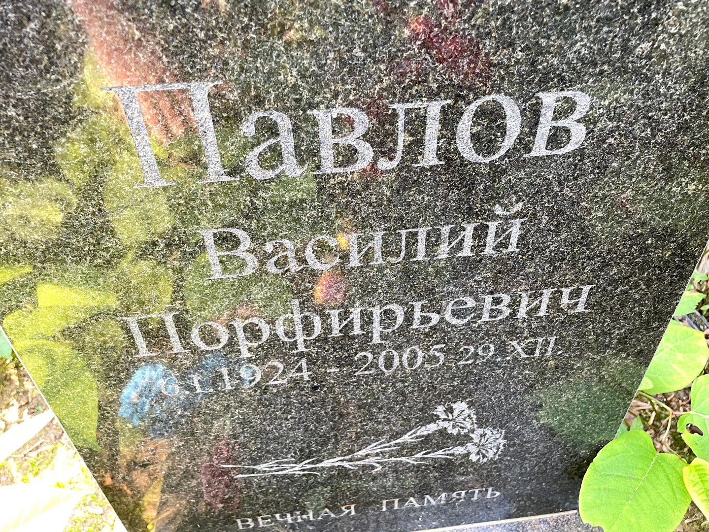 Павлов