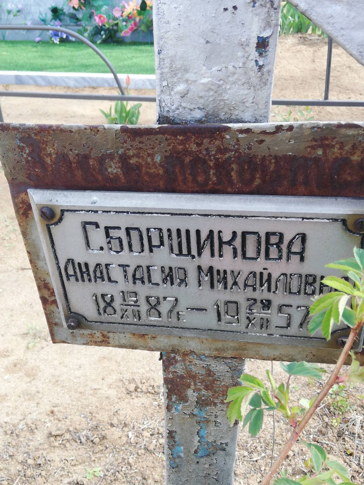 Сборщикова Анастасия Михайловна
