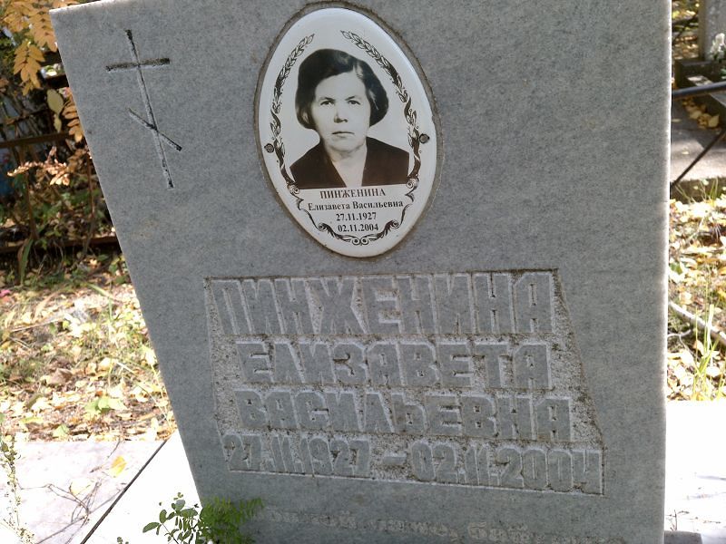Пинженина