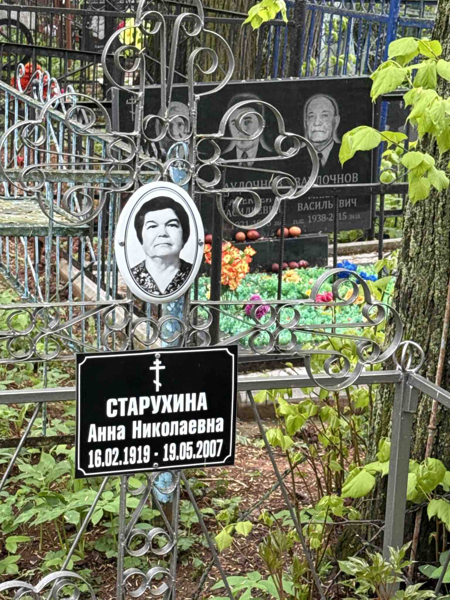 Старухина Анна Николаевна