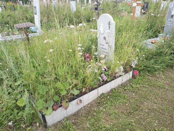 Балакирев Николай Александрович