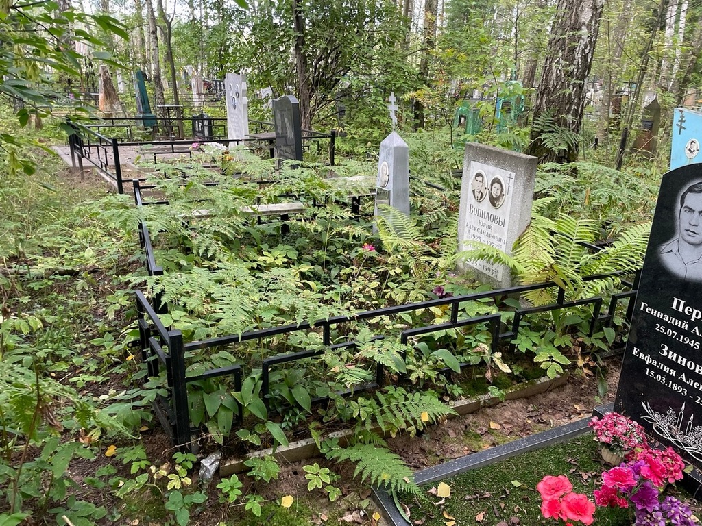 Вопилов Юрий Александрович