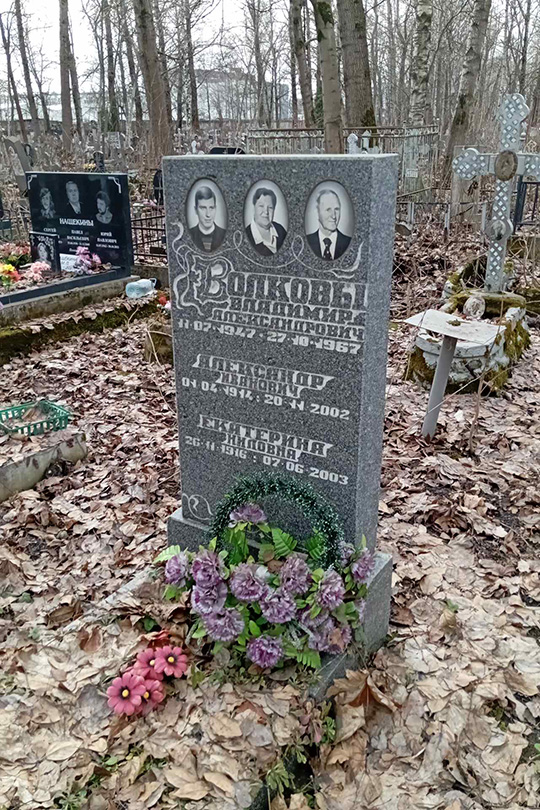 Волков Владимир Александрович