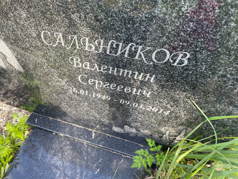 Сальников