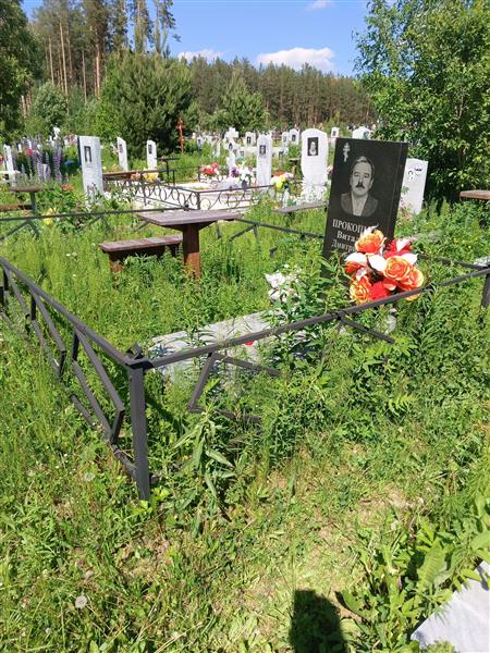 Прокопьев Виталий Дмитриевич