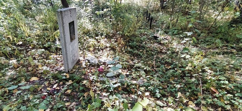 Гурулев Сергей Михайлович