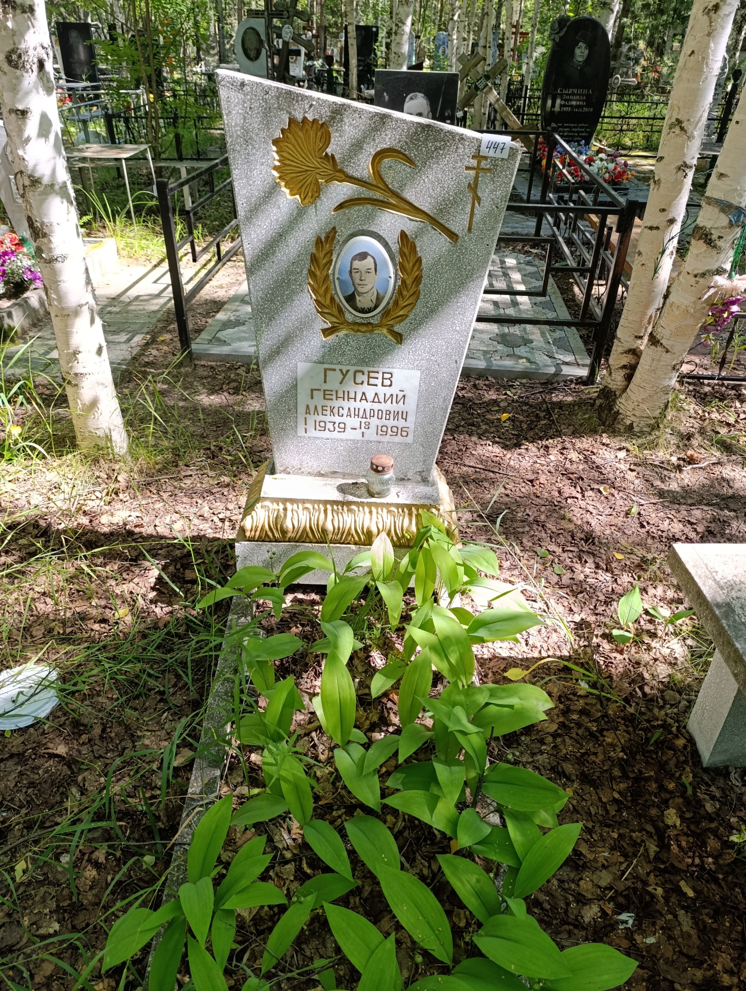 Гусев Геннадий Александрович