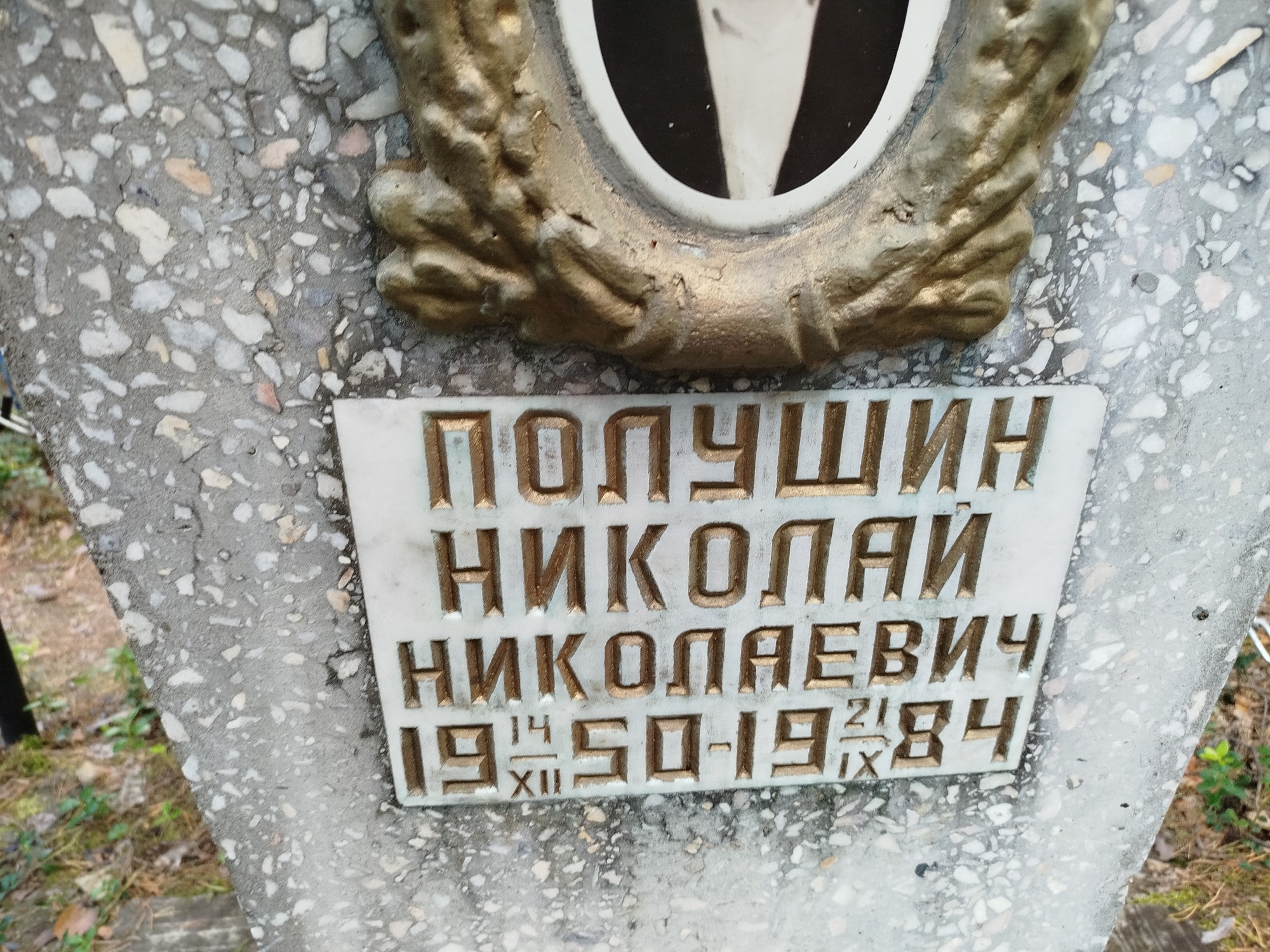 Полушин Николай Николаевич