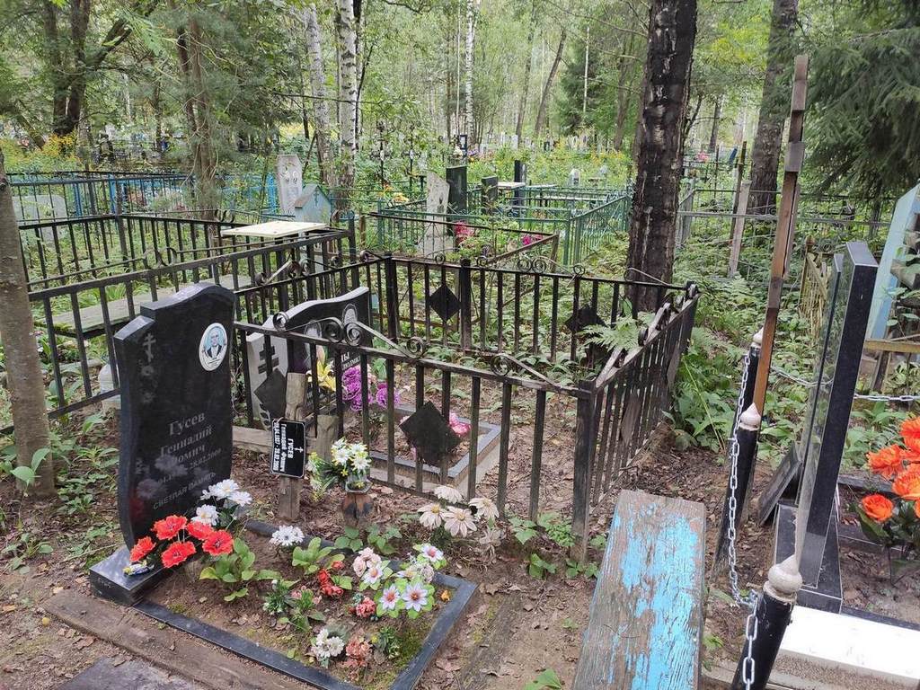 Рыкина Людмила Игоревна