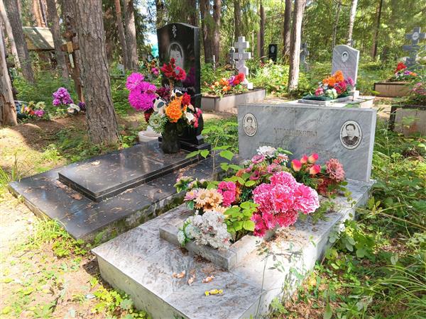 Мельникова Александра Николаевна
