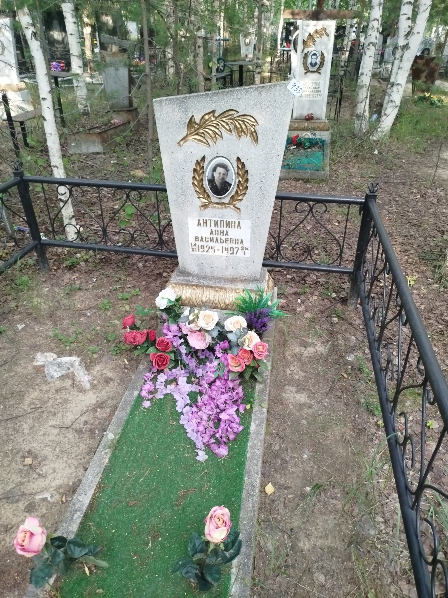 Антипина Анна Васильевна