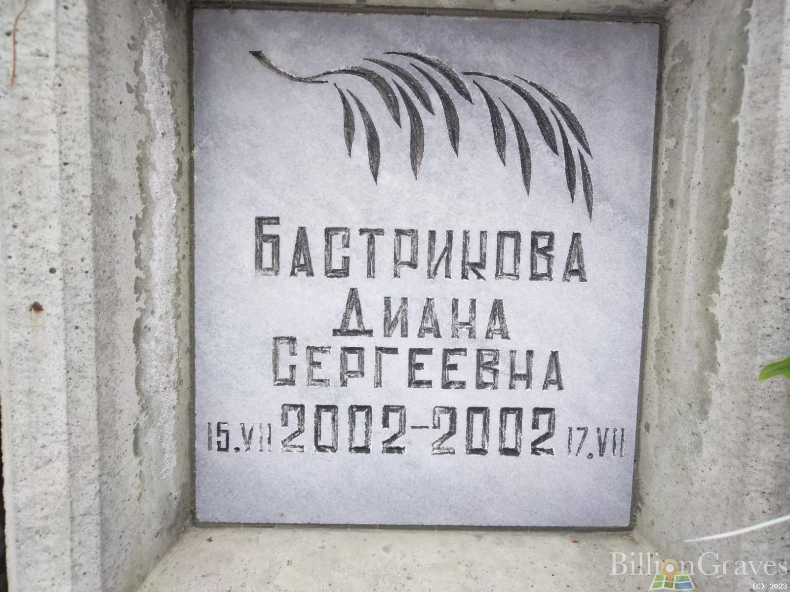 Бастрикова Диана Сергеевна