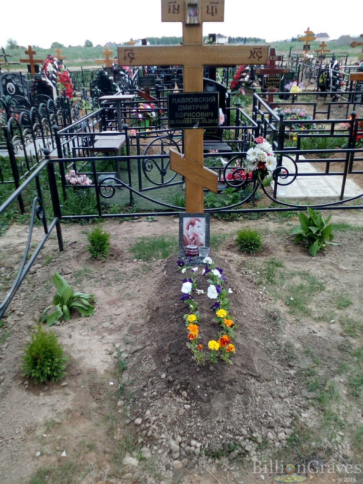 павловский дмитрий борисович