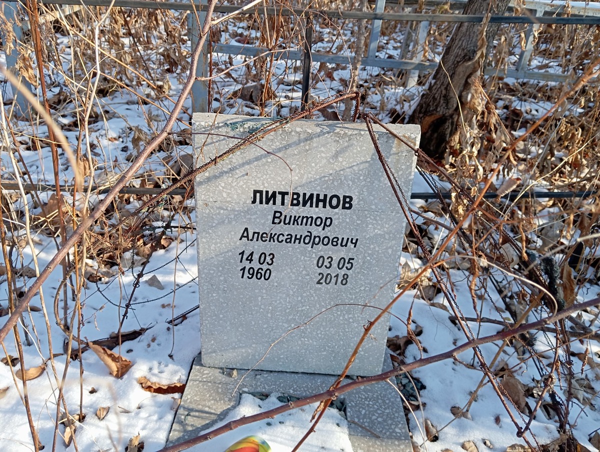 Литвинов Виктор Александрович
