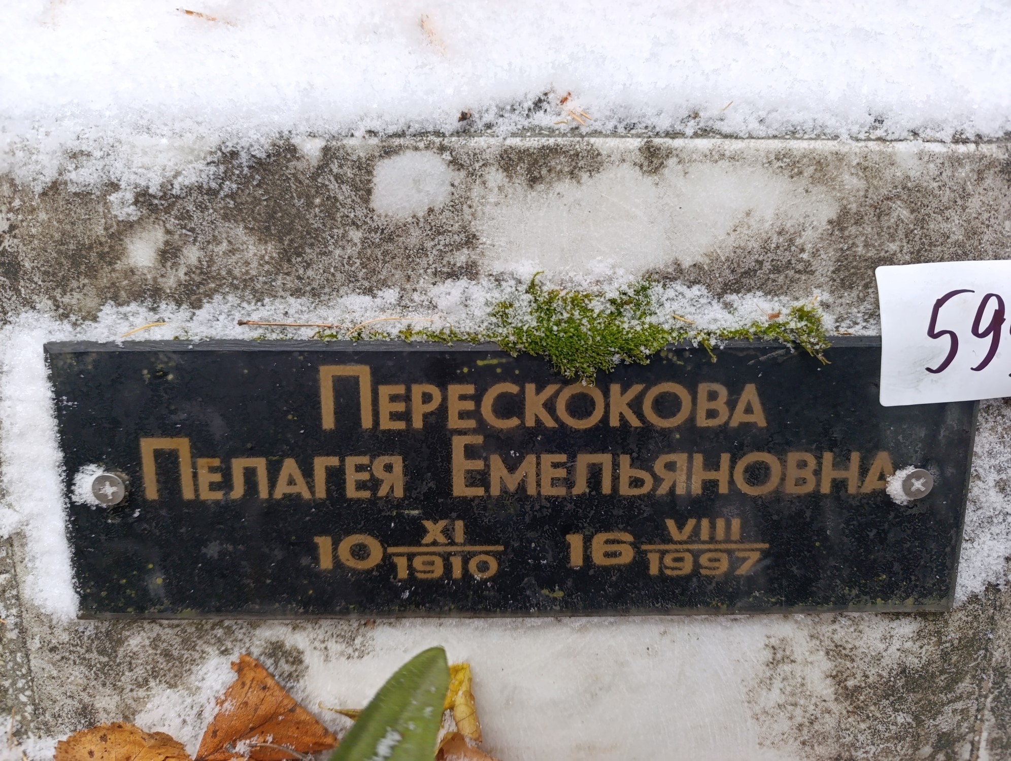 Перескокова Пелагея Емельяновна