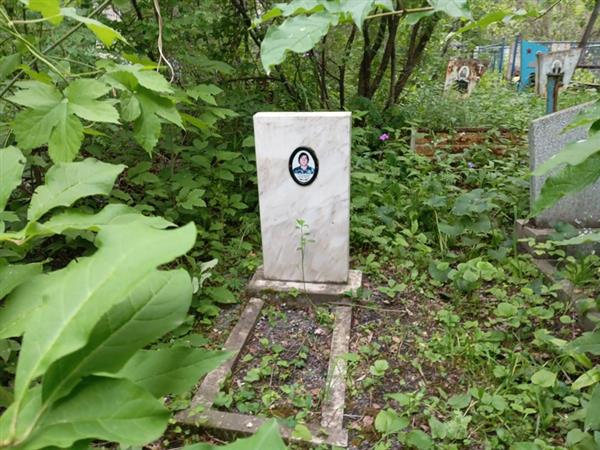 Степанищенко Николай Иванович