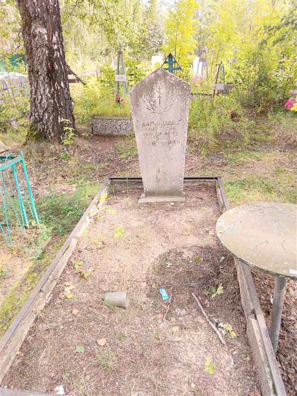 Даринцева Анастасия Николаевна