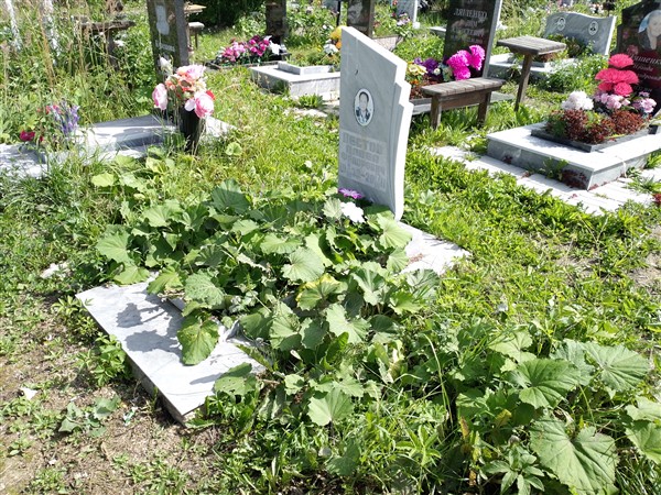 Пестов Павел Федорович