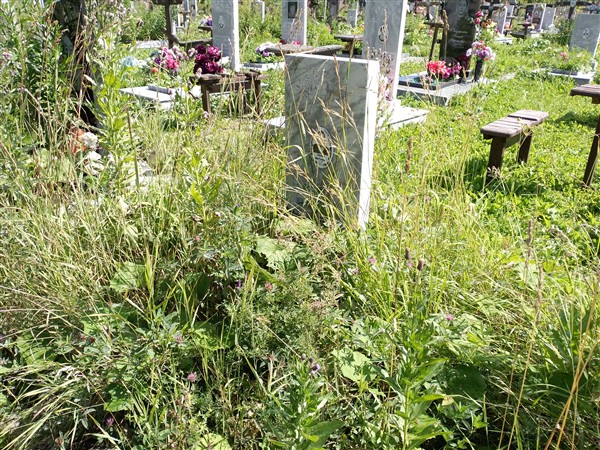 Лукинских Нина Федоровна