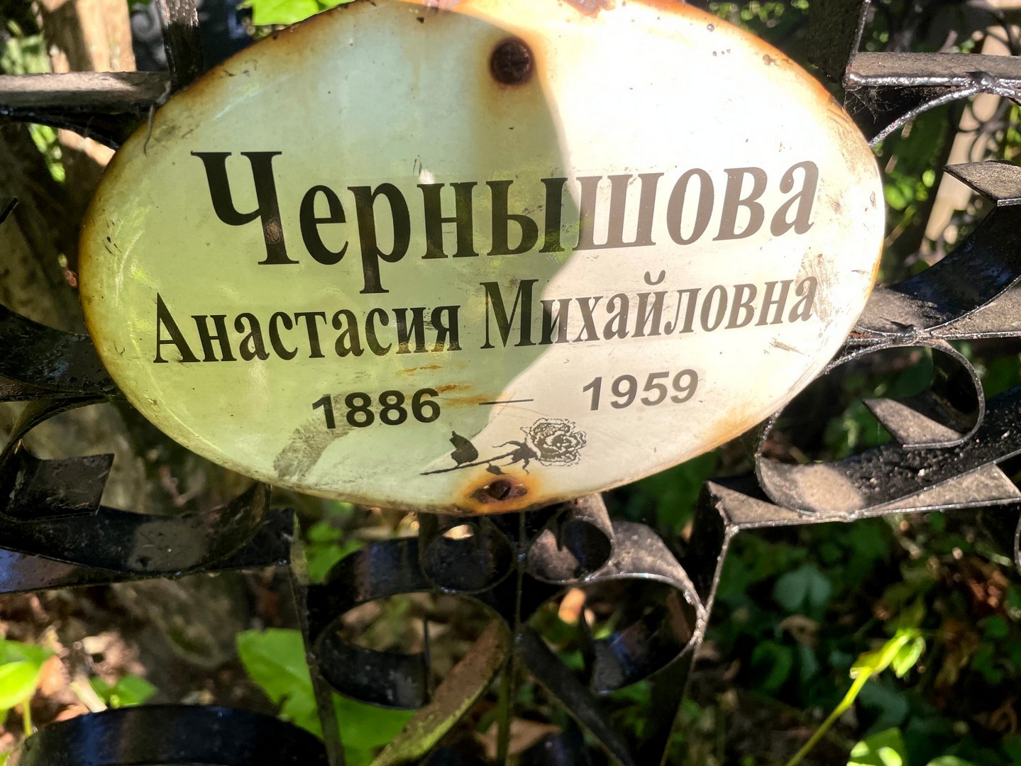 Чернышова Анастасия Михайловна