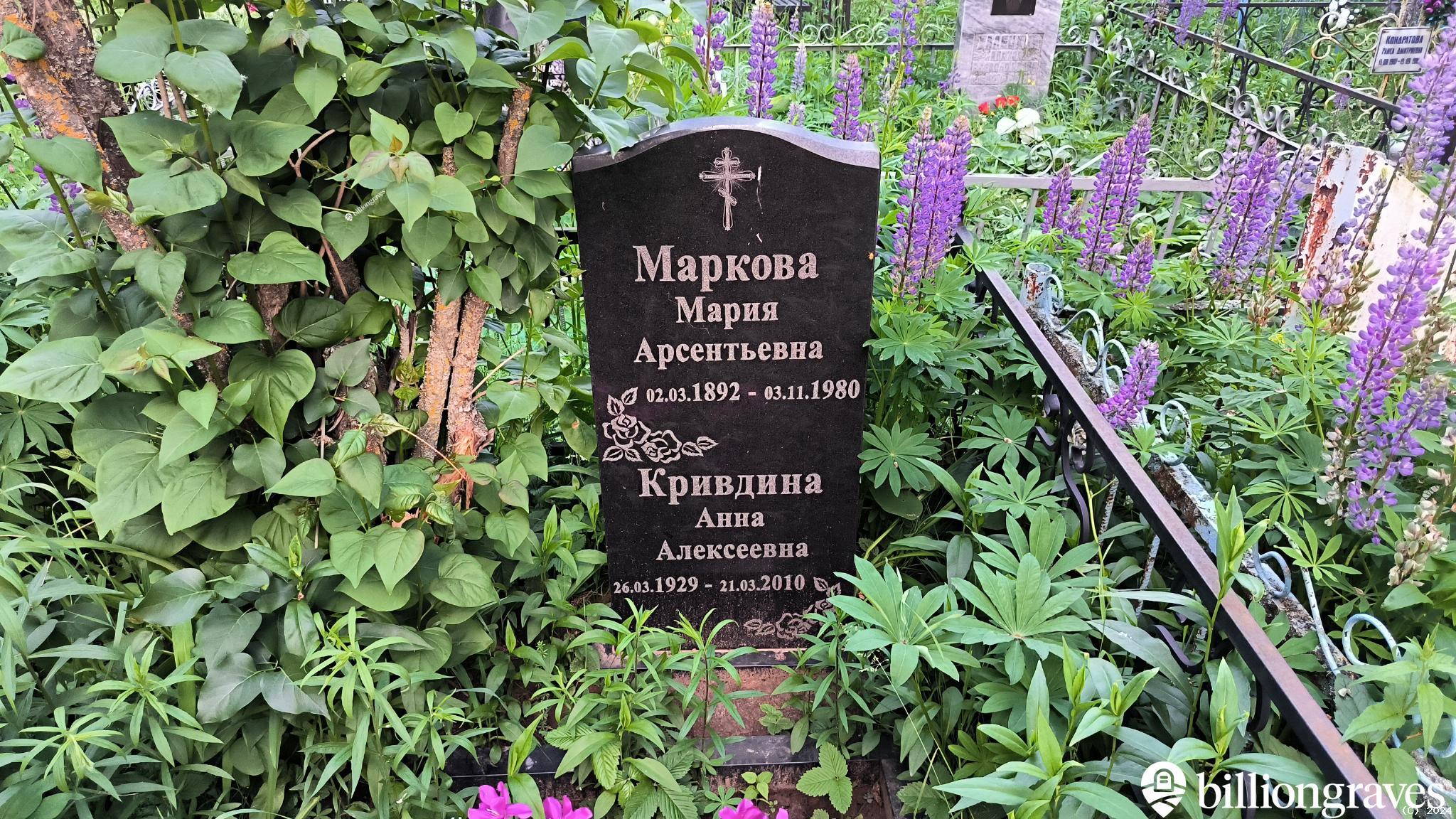 Кривдина Анна Алексеевна