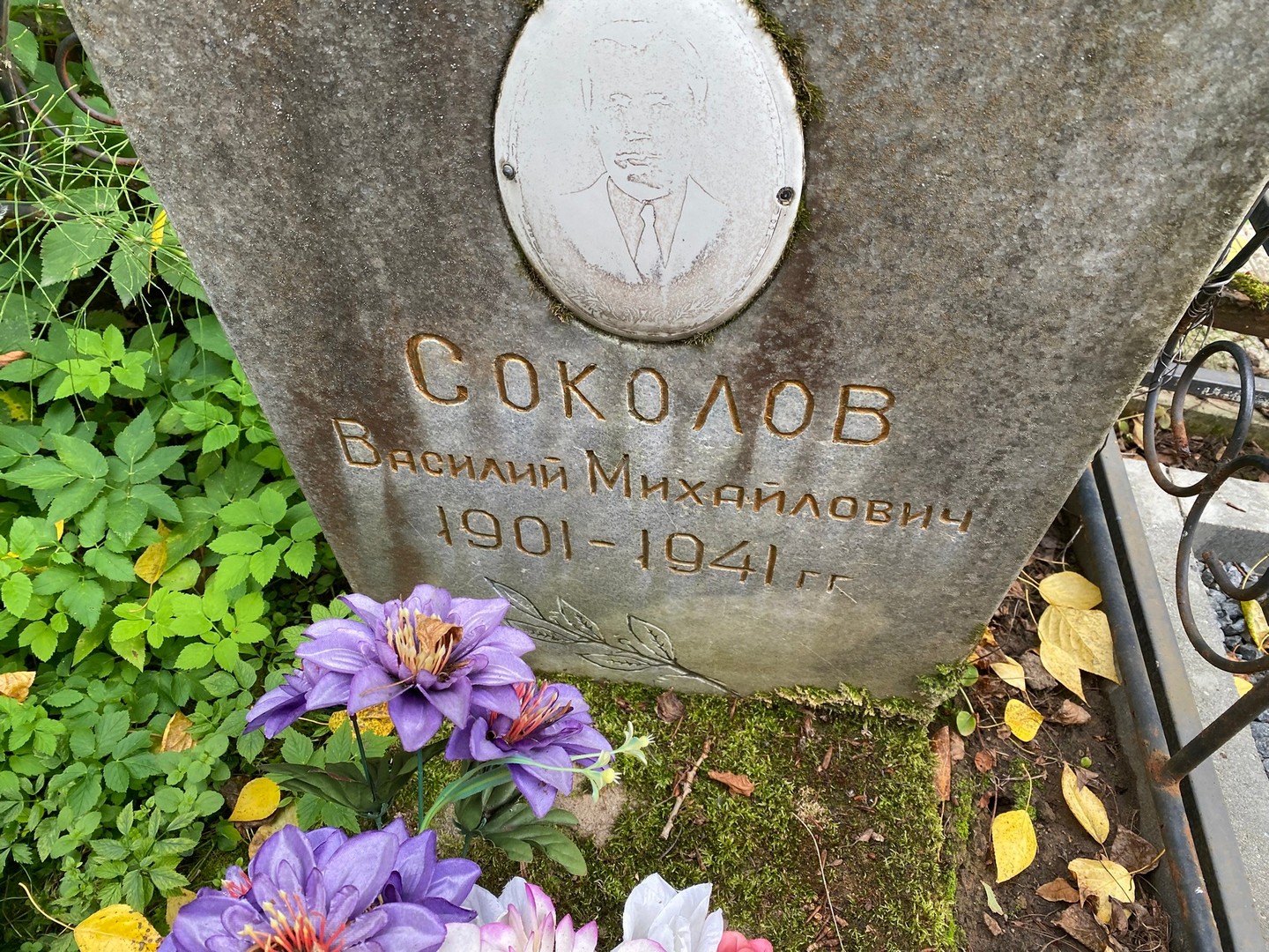 Соколов