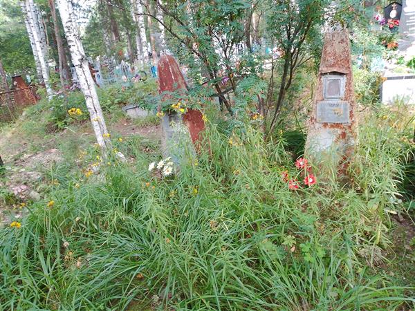 Гудкова Евгения Устиновна